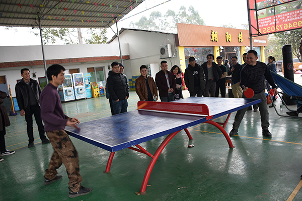 pingpong game